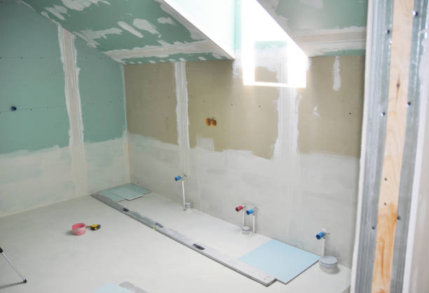Best Attic Mold Removal  in Haverhill, FL