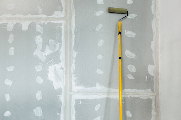 Professional Mold Removal in Haverhill, FL