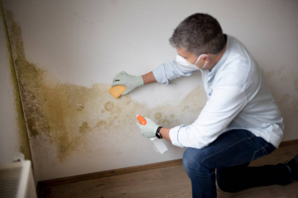 Best Crawl Space Mold Remediation  in Haverhill, FL
