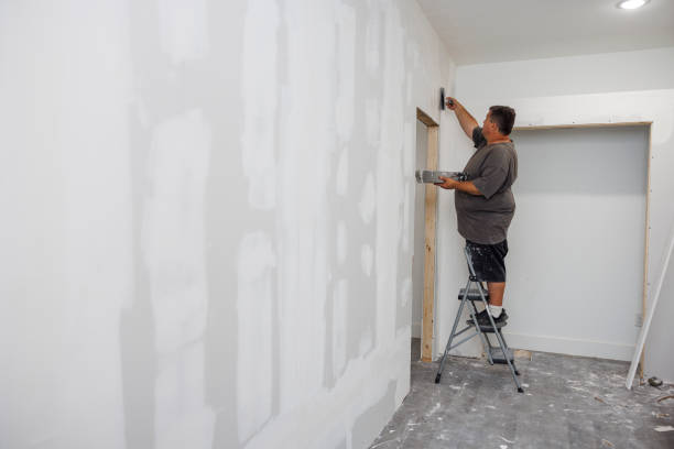 Best Mold Removal for HVAC Installations  in Haverhill, FL