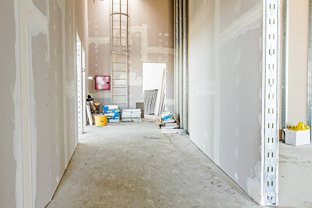 Asbestos and Lead Testing During Mold Inspection in Haverhill, FL