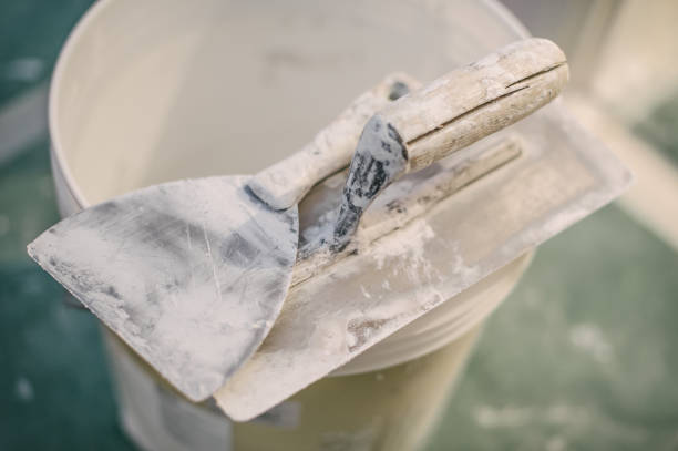 Best Forensic Mold Investigation  in Haverhill, FL