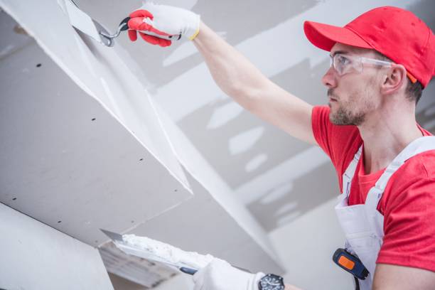 Best Mold Removal for HVAC Installations  in Haverhill, FL